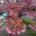 Eiichi