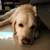 Chiewata_1387679c95d5f028a65d75dd86880330
